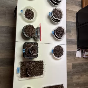 14 One bean blend Coffee